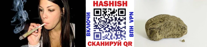 Купить где  Гай  ГАШ ice o lator 