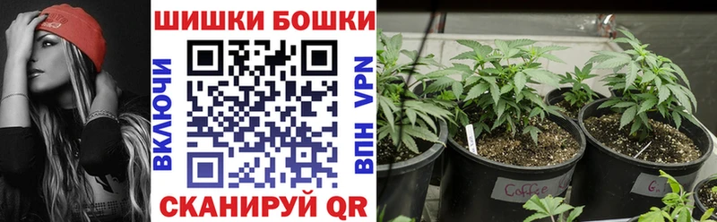 Каннабис конопля Гай